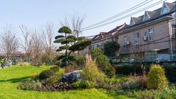 【区县新闻】利用“边角空间” 上海松江九里亭街道打造城市“小森林”