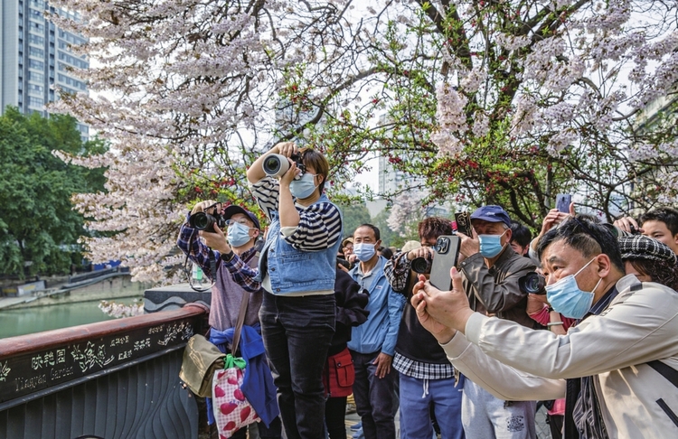 （转载）春花烂漫春光美