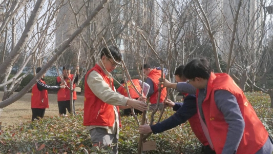 中建筑港二公司开展“春风十里 正‘植’有你”志愿服务活动