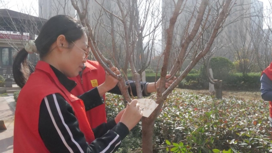 中建筑港二公司开展“春风十里 正‘植’有你”志愿服务活动