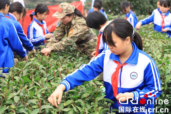 （原创）贵州平塘：持续做优茶产业 打造知名茶品牌_fororder_学生们在参加研学体验
