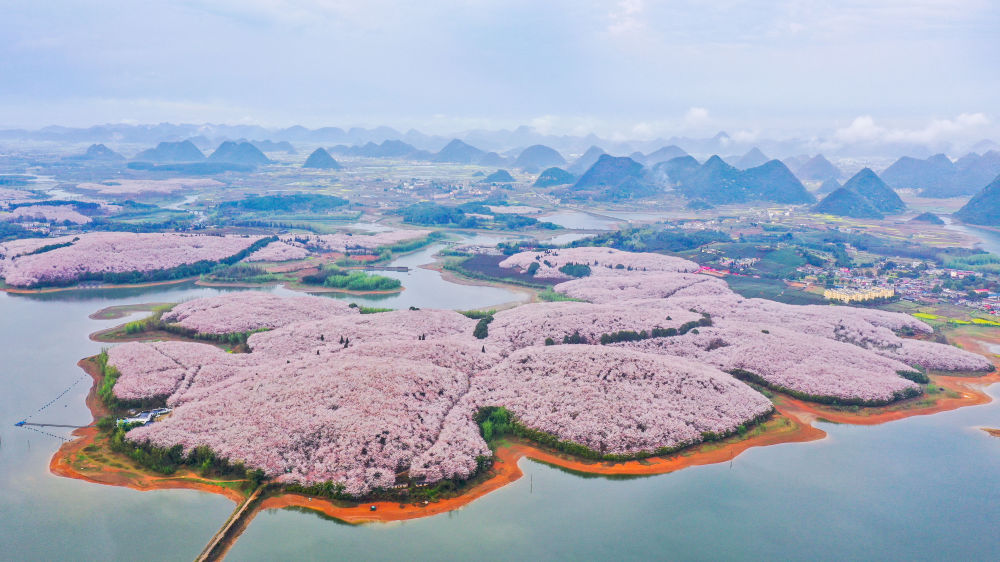 高原观“海”满眼春——从生态产业看贵州高质量发展