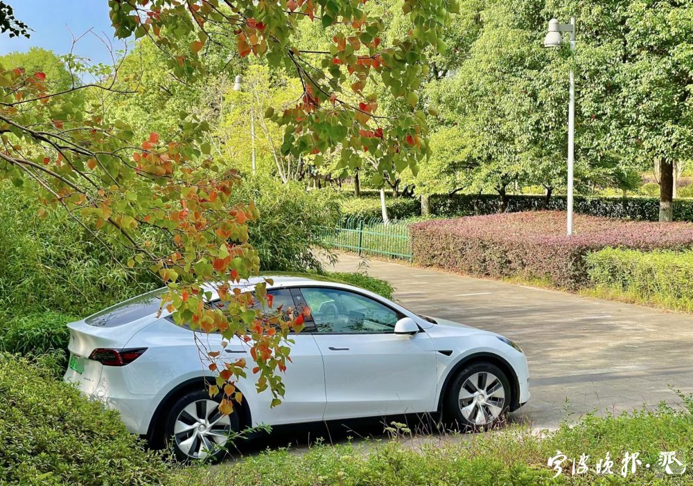 保有量破20万辆！宁波新能源车爆发式增长_fororder_00300891910_4561e621