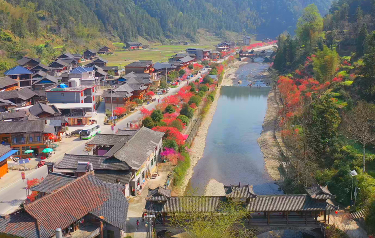 湖南城步“醉美桃花节”火出圈 “美丽经济”促进乡村振兴_fororder_图片4