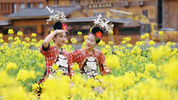 貴州西江千戶苗寨：油菜花開春意濃 苗家姑娘入畫中