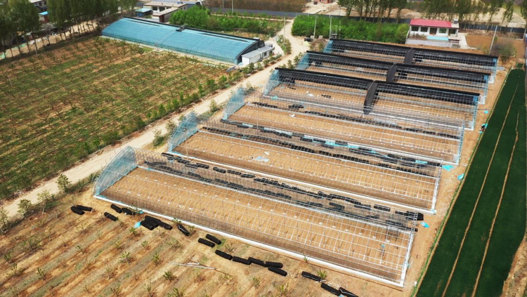 圖片默認標題_fororder_圖片78