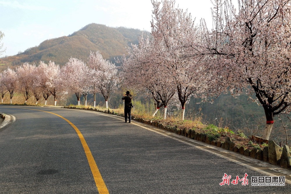 【轮播图】花红柳绿又一春 陇南康县山乡画意浓_fororder_6