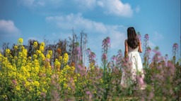 （转载）春花烂漫春光美