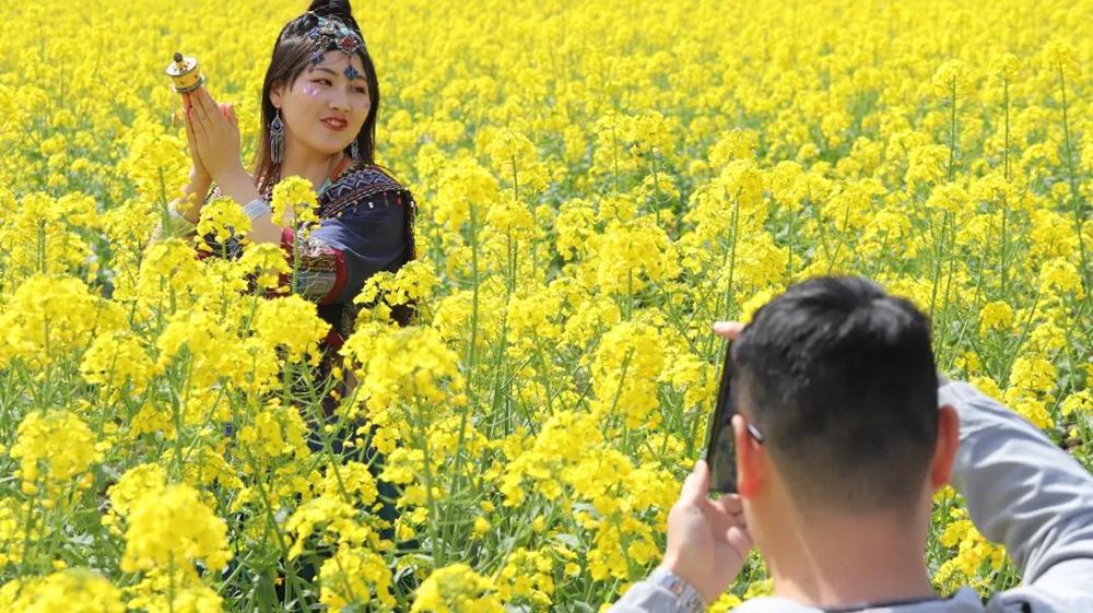 貴州西江千戶苗寨：油菜花開春意濃 苗家姑娘入畫中_fororder_微信圖片_20230314151011