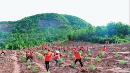 雲南楚雄省內率先開展“互聯網+全民義務植樹”試點