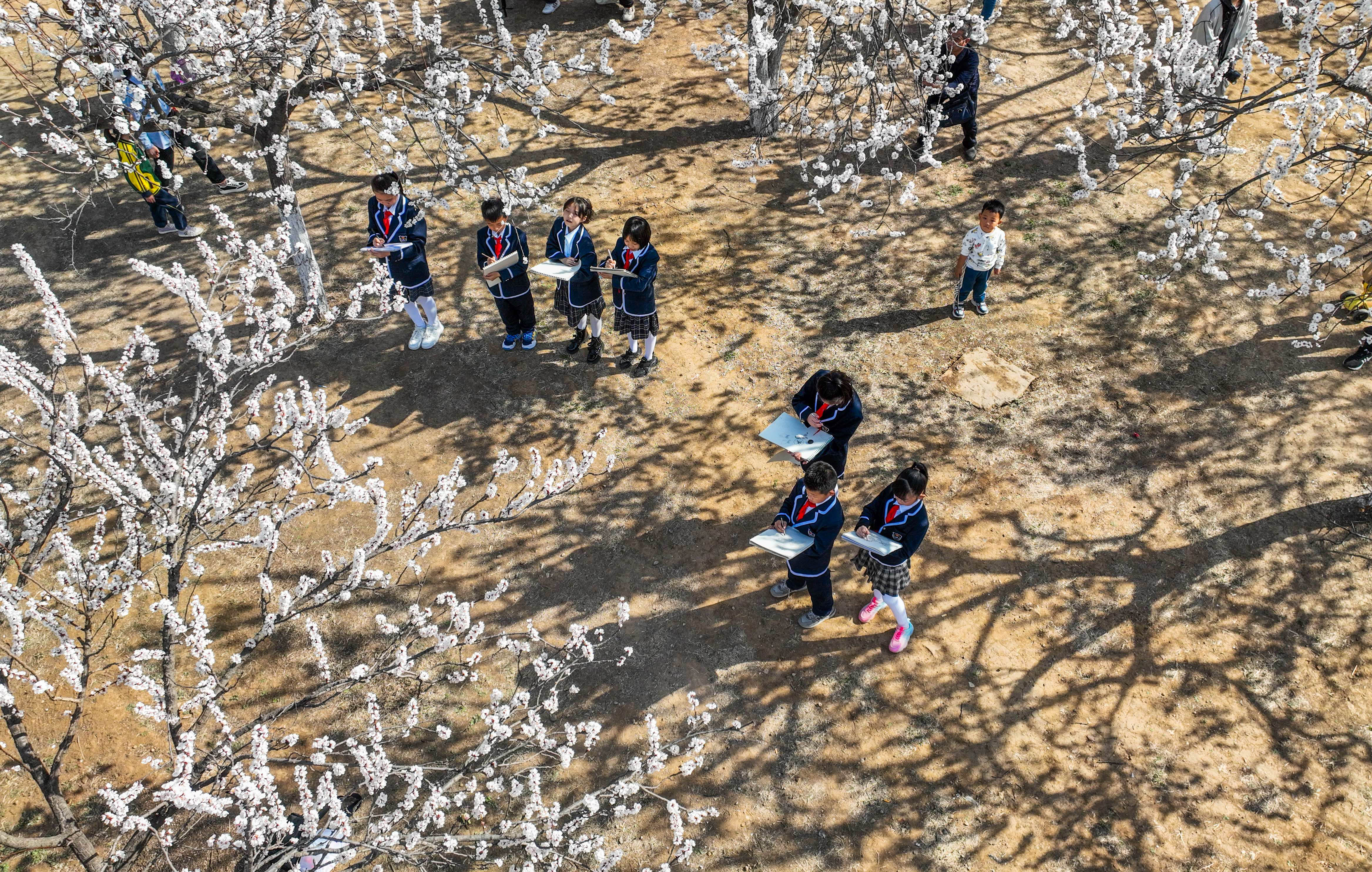 （原創）河北邯鄲：執筆寫生“繪”春光_fororder_4 (1)