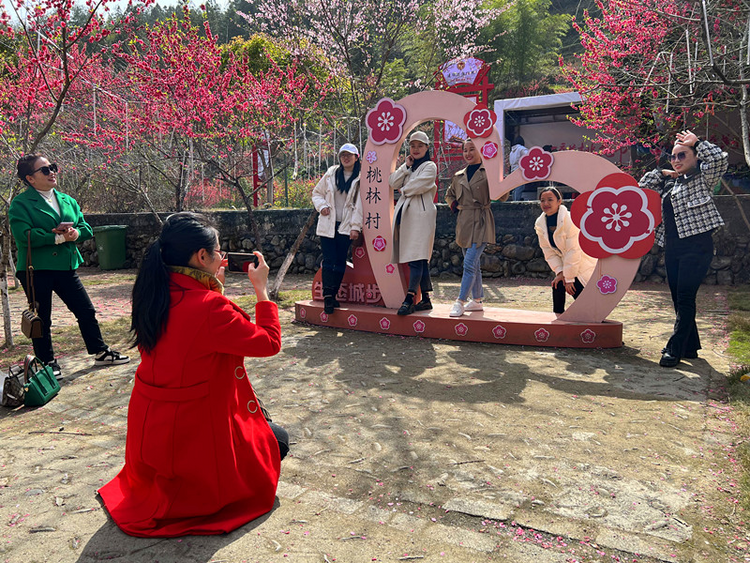 湖南城步“醉美桃花节”火出圈 “美丽经济”促进乡村振兴_fororder_图片2