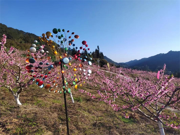 重庆市巴南区第二届春季赏花温泉节开幕