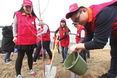 京津城際兩側將建200米寬立體林帶