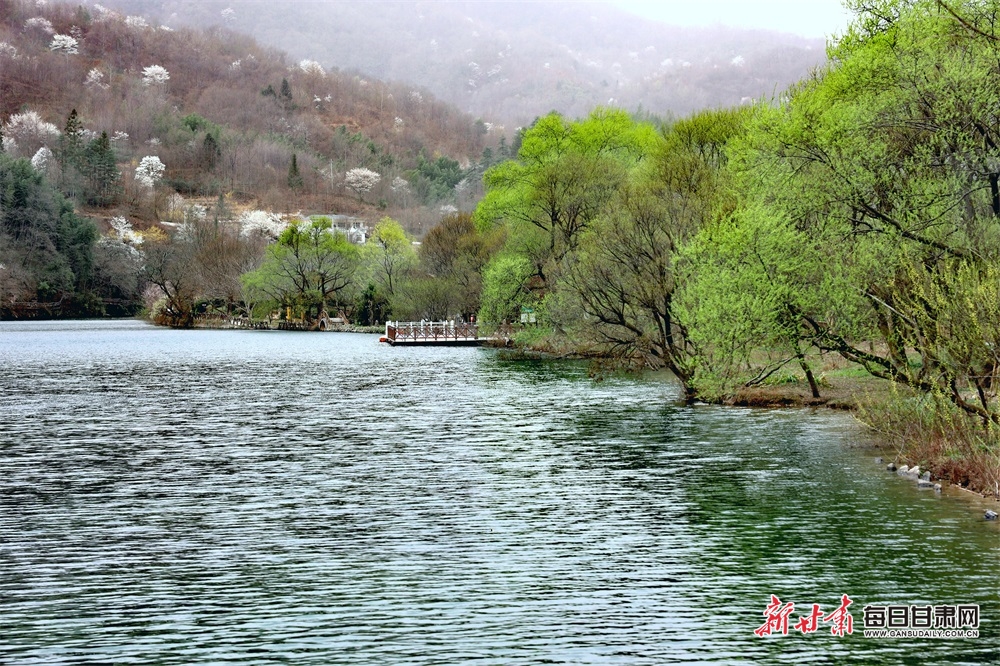 【輪播圖】花紅柳綠又一春 隴南康縣山鄉畫意濃_fororder_2