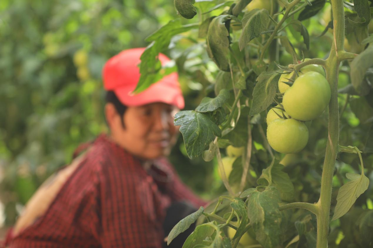 圖片默認標題_fororder_圖片15