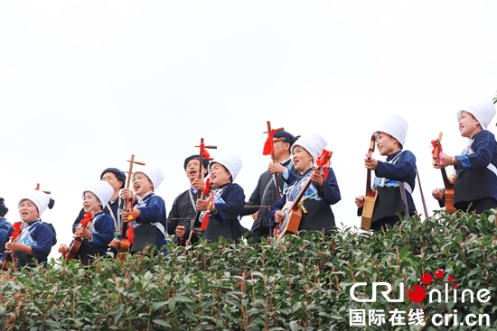 （原創）貴州平塘：持續做優茶産業 打造知名茶品牌_fororder_活動中當地布依族同胞在茶園裏表演“八音彈唱”