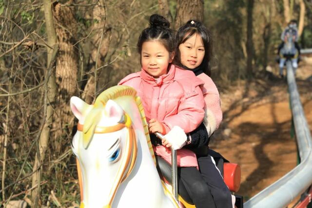 浙江桐庐首家建在森林中的大型游乐场开门迎客_fororder_微信图片_20230314153657