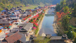 湖南城步“醉美桃花節”火出圈 “美麗經濟”促進鄉村振興
