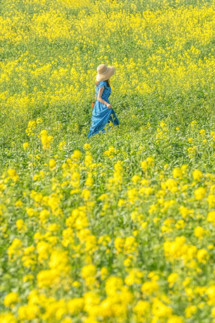 The 2nd Wulijie Rapeseed Flower Festival Opens in Jiangxia District, Wuhan_fororder_图片1