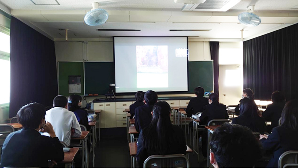 乐山大佛脚下的公开课 日本青少年线上感受世界遗产的魅力_fororder_未标题-3