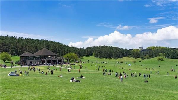 “長江三峽+武隆旅遊”水陸大聯遊200人首發團抵達重慶武隆_fororder_圖片2