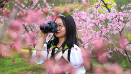 【原創】以花為媒 振興鄉村：信陽市光山縣斛山鄉第六屆桃花文化節開幕