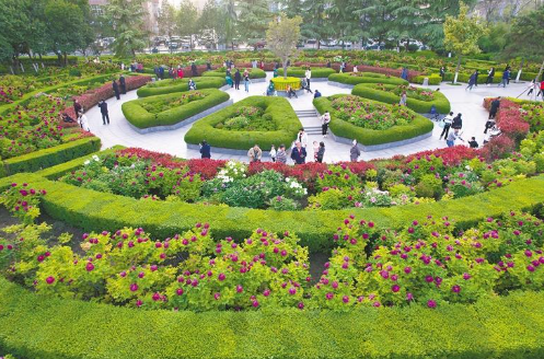 西安牡丹苑牡丹花盛开_fororder_微信图片_20230414083701