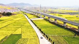 “开往春天的列车” 平均8分钟一趟