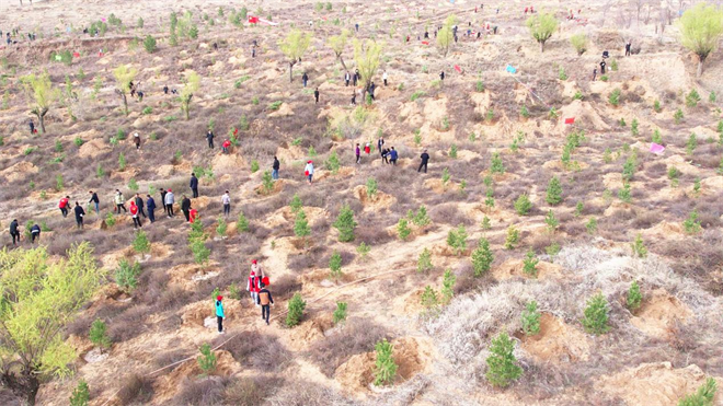 榆林市横山区：山水践初心 共植一株绿_fororder_图片12