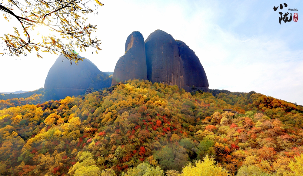 【转载】【乡村振兴专题】天水武山：绿水青山生态美 景色如画引客来_fororder_6