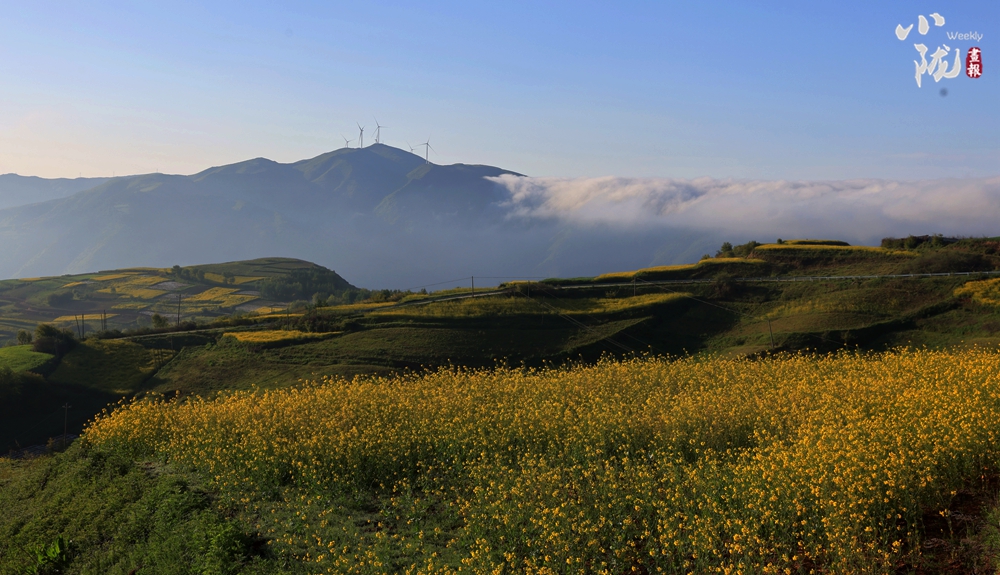 【转载】【乡村振兴专题】天水武山：绿水青山生态美 景色如画引客来_fororder_7