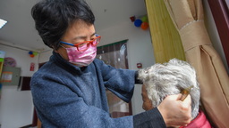 圖片默認標題