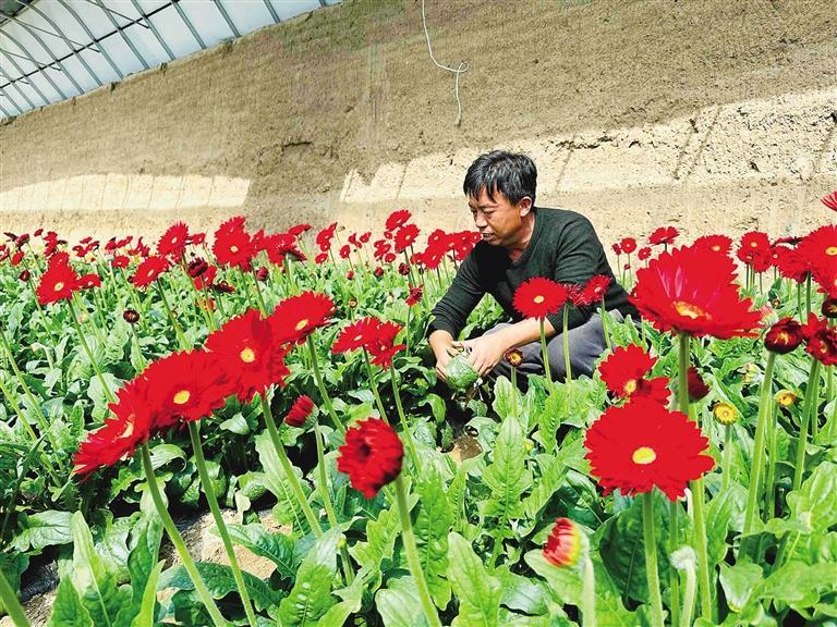 【轉載】【鄉村振興專題】蘭州榆中縣：強龍頭、補鏈條、聚集群 推動特色産業發展_fororder_微信圖片_20230317102944