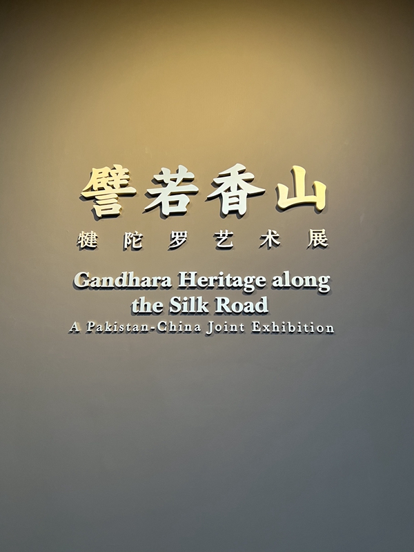 Largest Exhibition of Gandharan Art in China Opens in Palace Museum, 80 percent of Artifacts from Pakistan_fororder_79