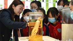 圖片默認標題