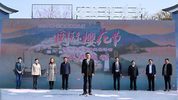2023中國無錫太湖黿頭渚國際櫻花節盛大開幕