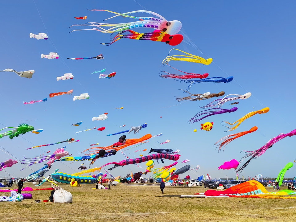 【原创】山东潍坊：漫天纸鸢舞长空_fororder_1、大型软体风筝漫天飞舞 摄影 郭富莹