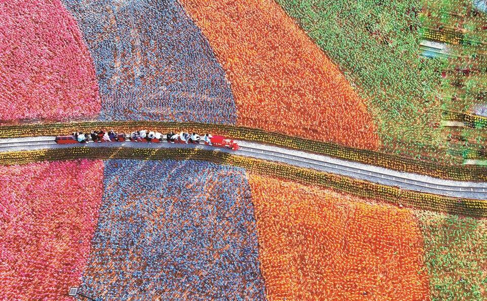 宁德大力传播“闽东之光” 奋力打造近悦远来的山海休闲旅游度假目的地_fororder_7788ab37-d110-41c0-a81e-726c207790b6