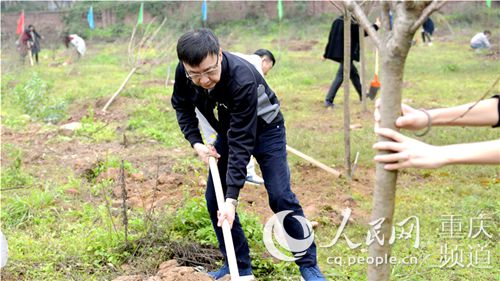 【聚焦重庆】重庆大学开展公益植树活动 师生共建绿色校园