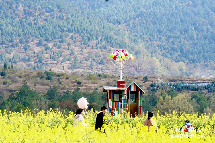以花为媒 2023中国最美油菜花海汉中旅游文化节启动-国际在线