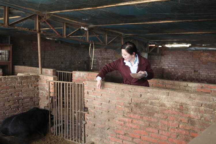 圖片默認標題_fororder_圖片37