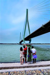 天堑飞虹：湖北38座大桥雄跨长江