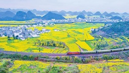 “美麗經濟”賦能“幸福産業”