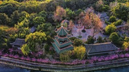 圖片默認標題
