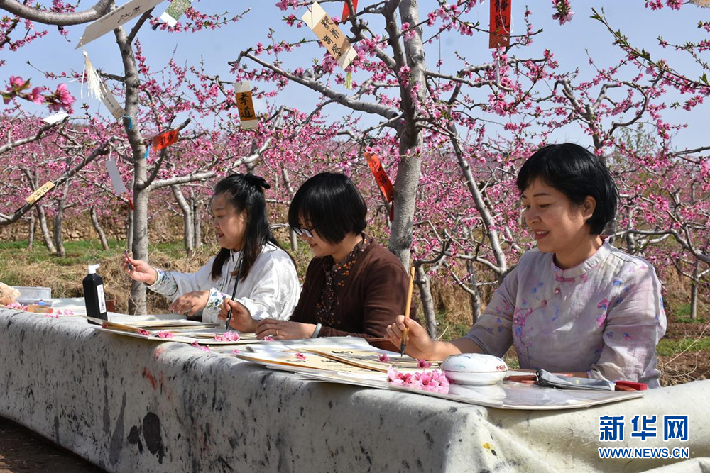 河北曲阳：春暖桃花开_fororder_1129525377_16815243444261n