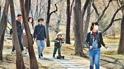 丝丝春韵拂冰城