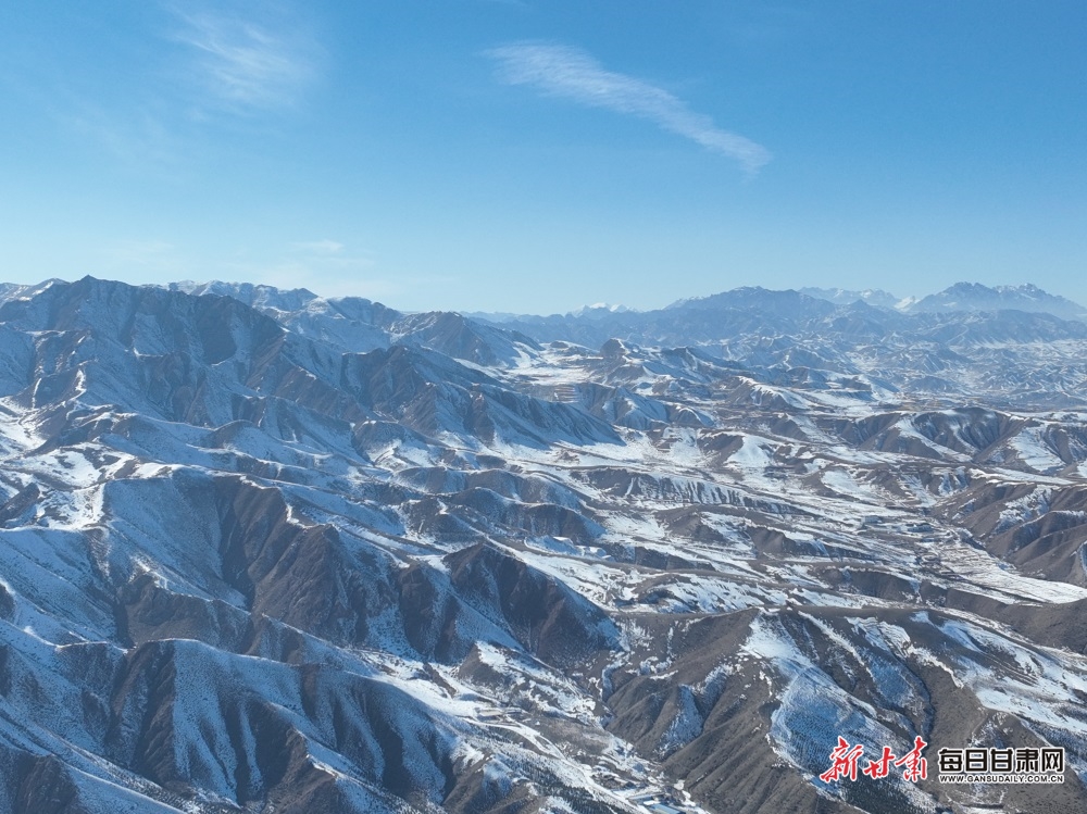 【轮播图】武威天祝草原成群狍鹿雪地悠闲“散步”_fororder_6