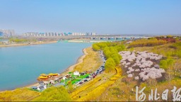 【中首】河北石家莊：滹沱河畔春光美