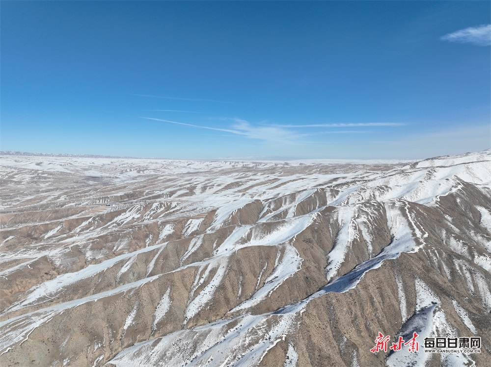 【轮播图】武威天祝草原成群狍鹿雪地悠闲“散步”_fororder_3